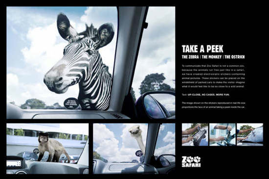 Zoo Safari
