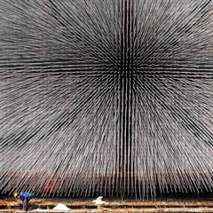 Shanghai Prepares for Expo 2010