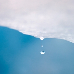 World Water Day
