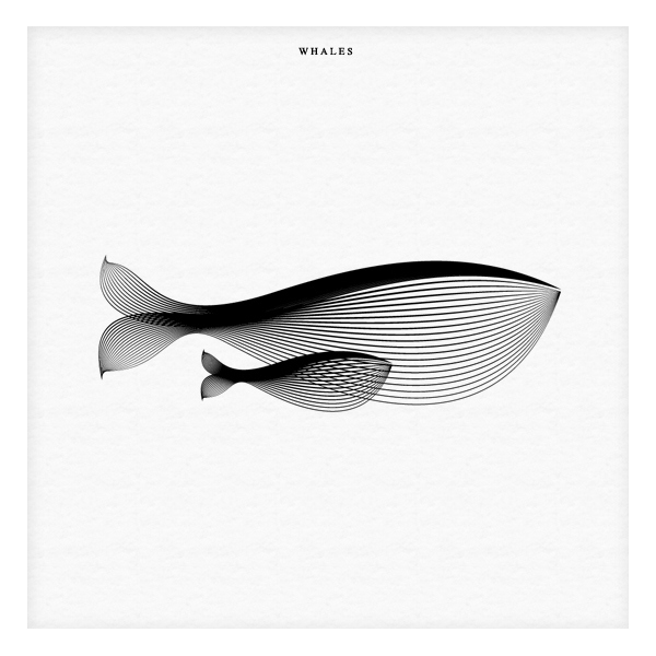 Animals In Moire 10