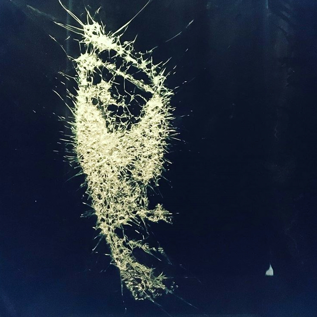 Shattered Glass Portraits By Simon Berger 11 Shattered Glass Portraits By Simon Berger 11