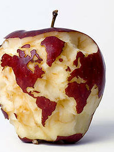 Apple Globe