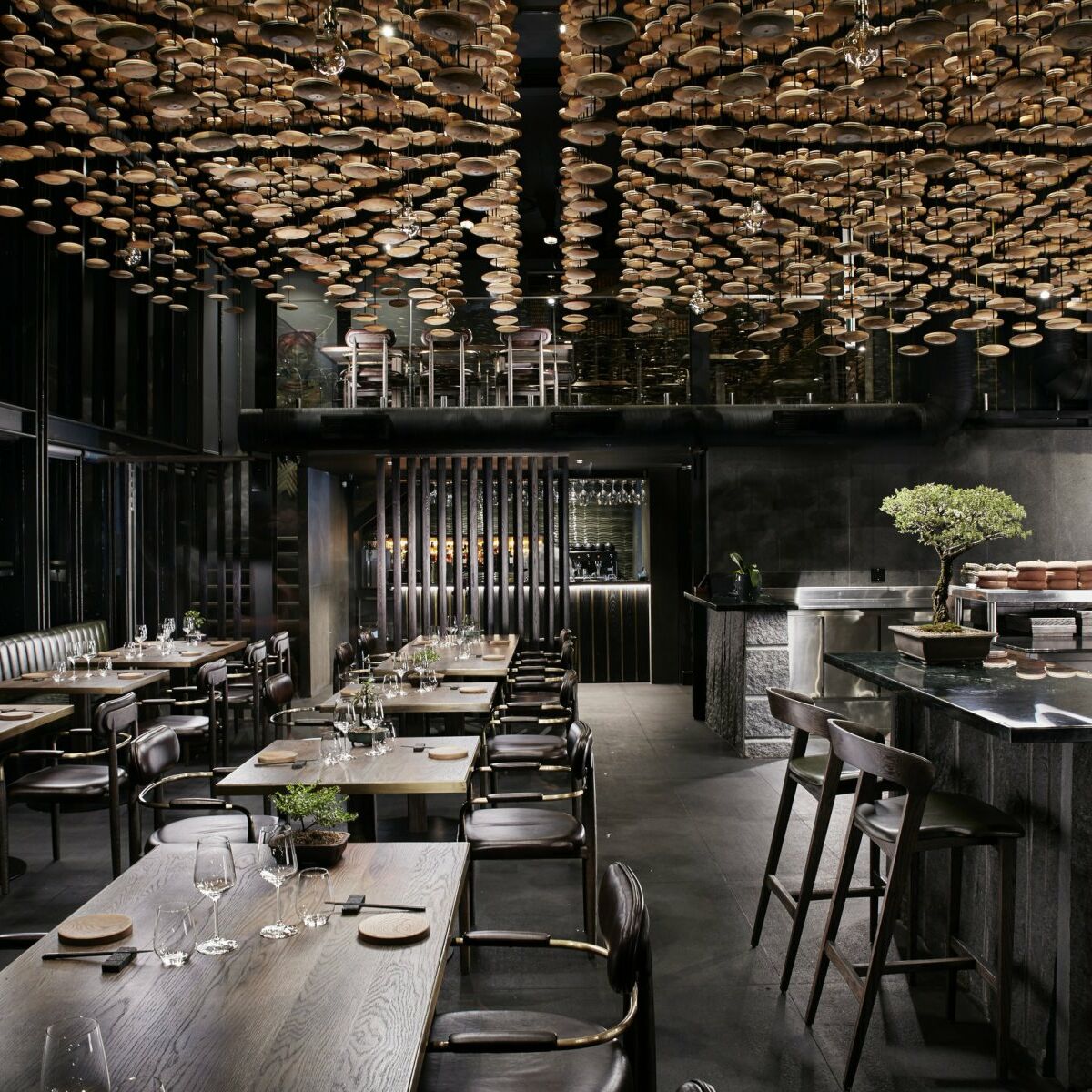 Fyn African X Japanese Tristan Plessis Studio 2