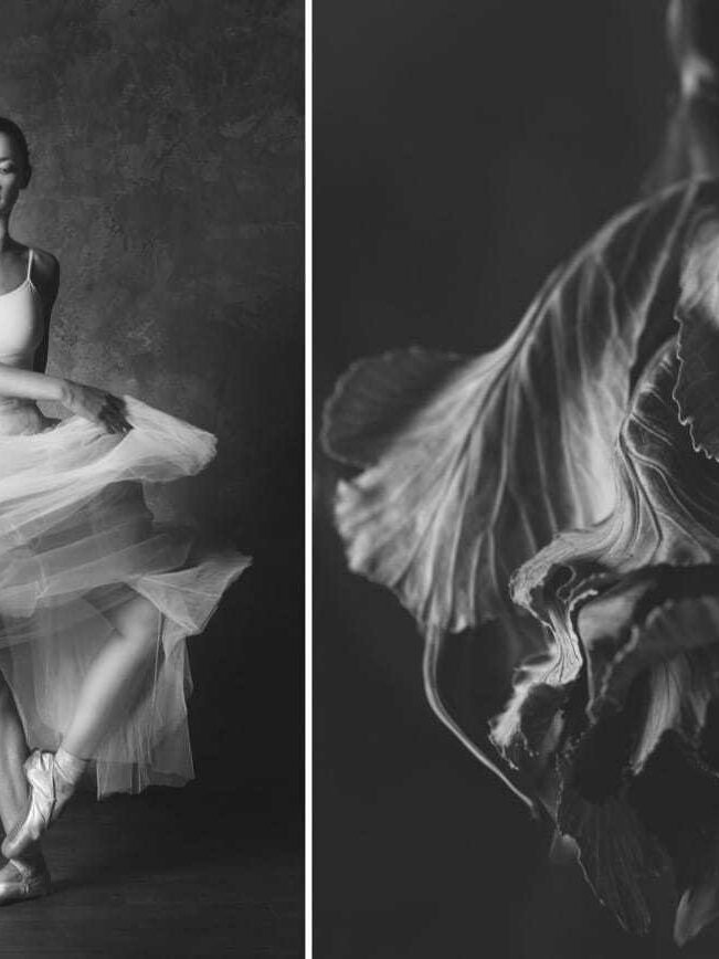 Photographer Shows Connection Between Ballet And Blooming Flowers 15