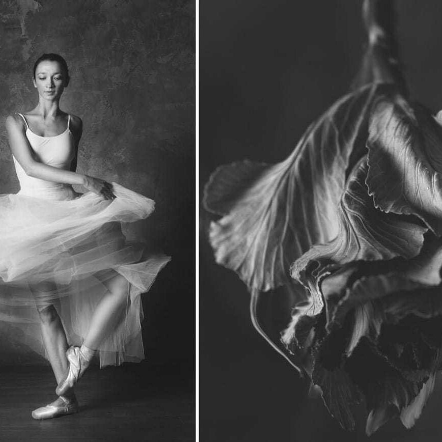 Photographer Shows Connection Between Ballet And Blooming Flowers 15