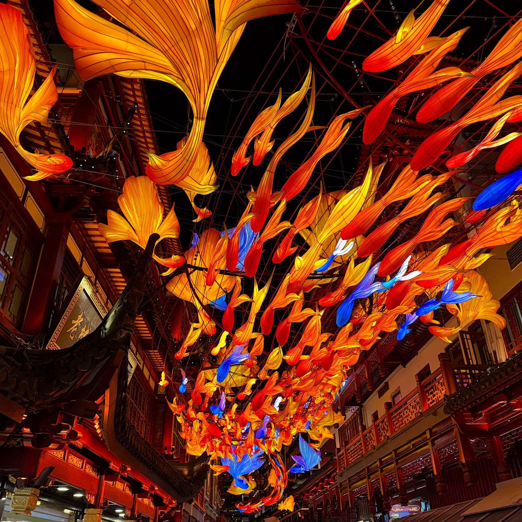 Shanghai Walk Winter 2023 Web 10