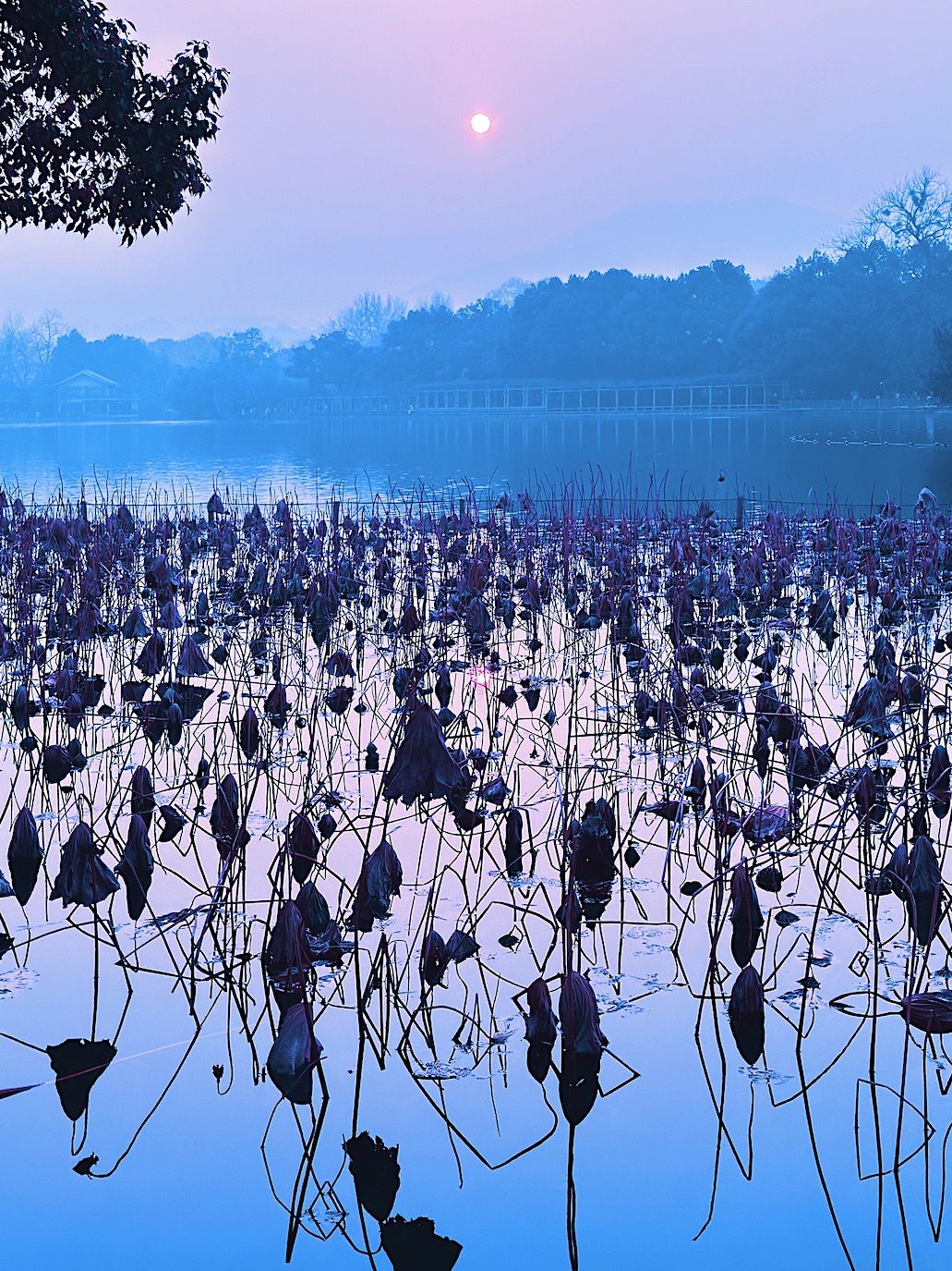 Hangzhou City Walk Winter 2023 39 Web