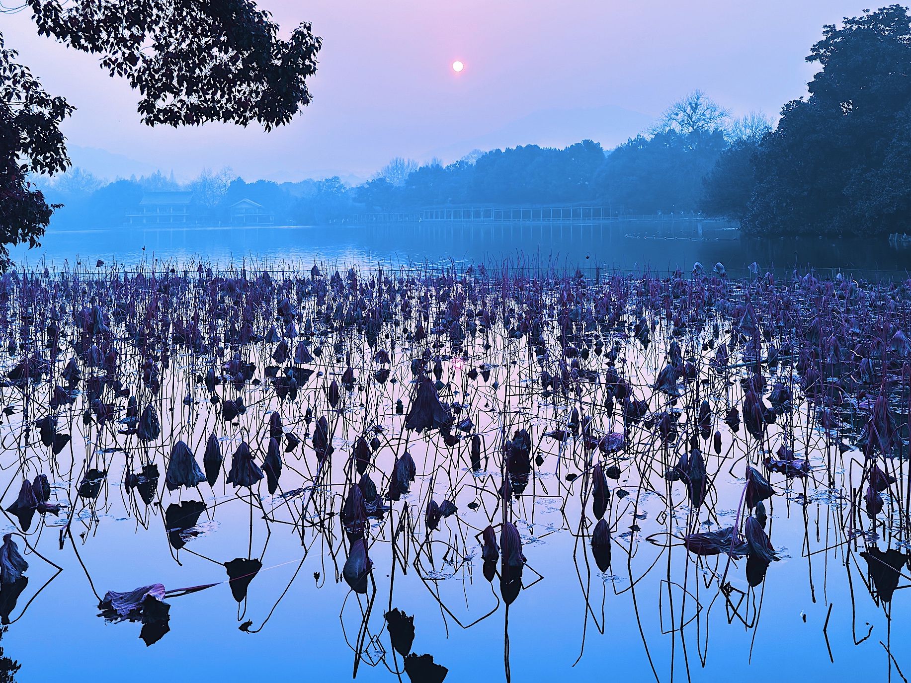 Hangzhou City Walk Winter 2023 39 Web