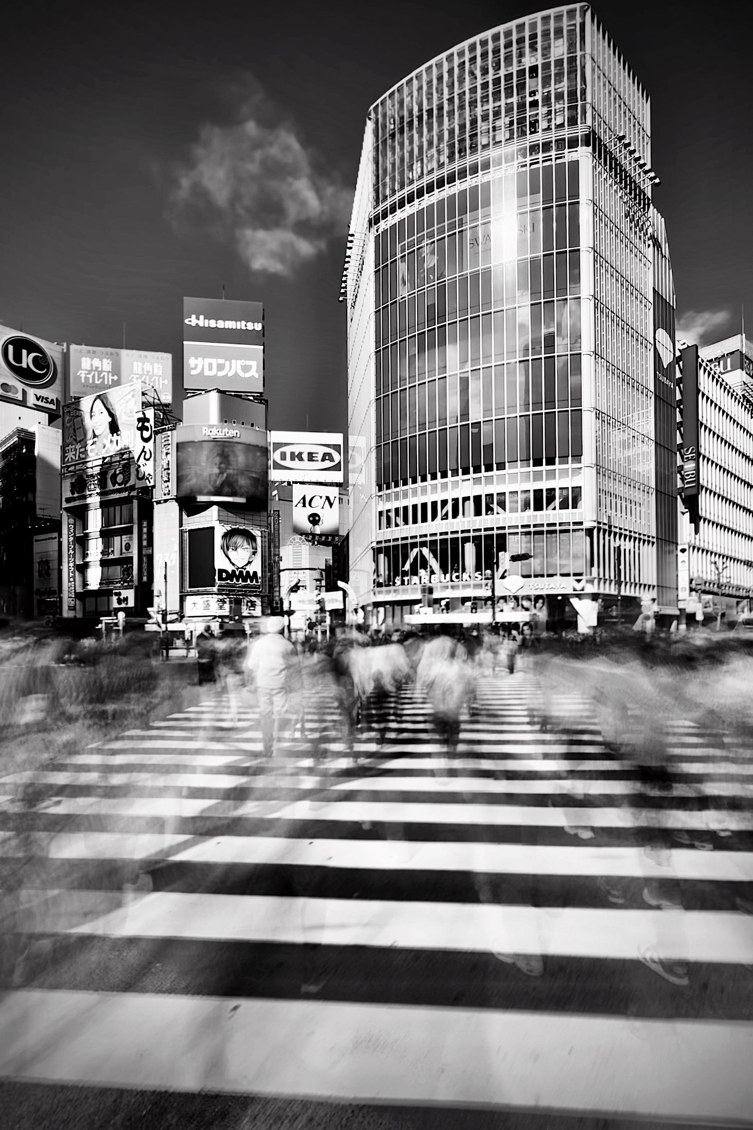 Tokyo Yokohama Kamakura 2025 059 Perfected Web