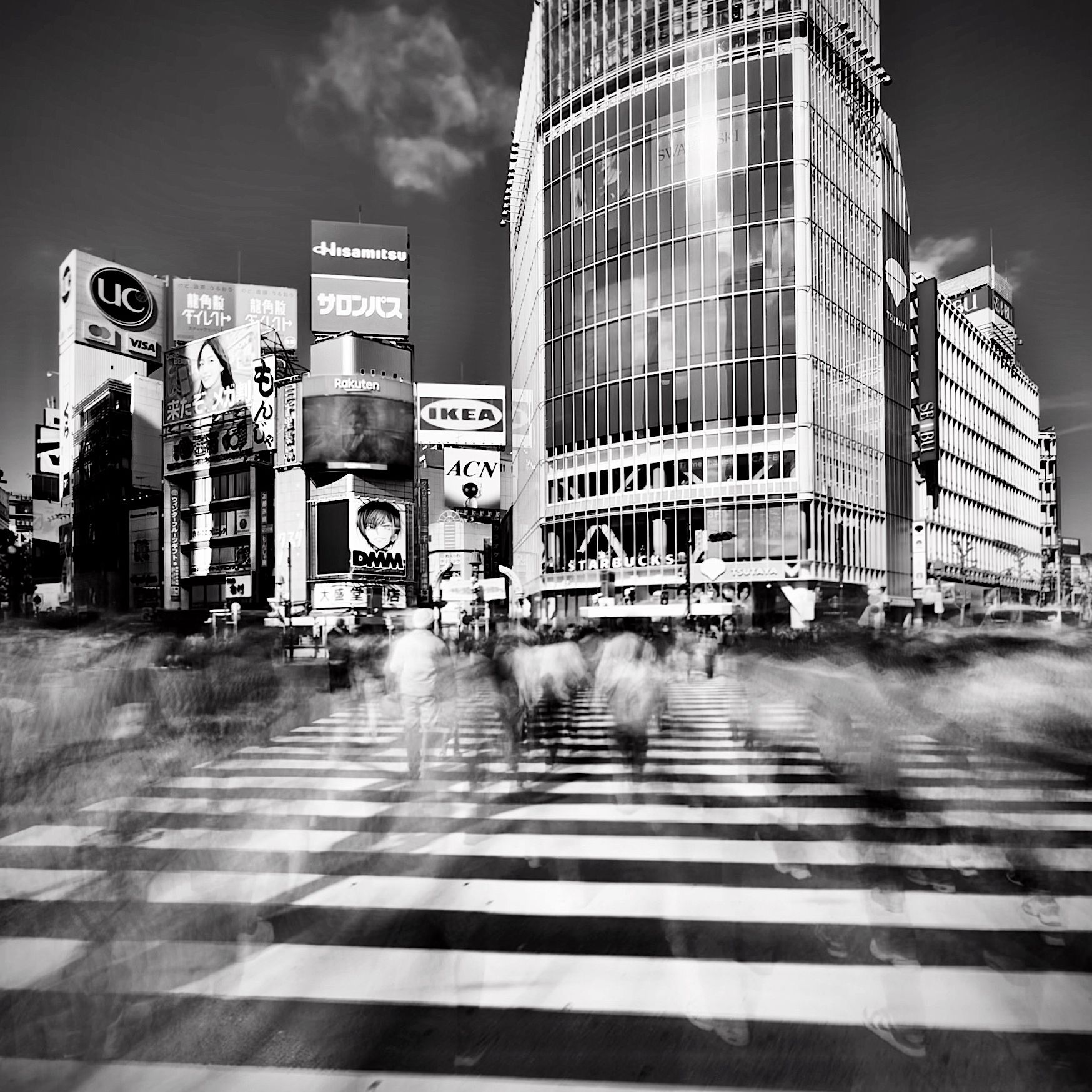 Tokyo Yokohama Kamakura 2025 059 Perfected Web