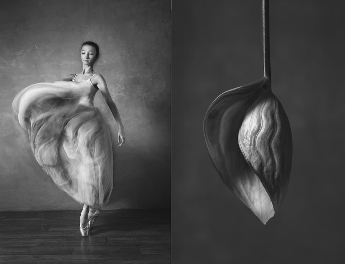 Photographer-Shows-Connection-Between-Ballet-and-Blooming-Flowers-11