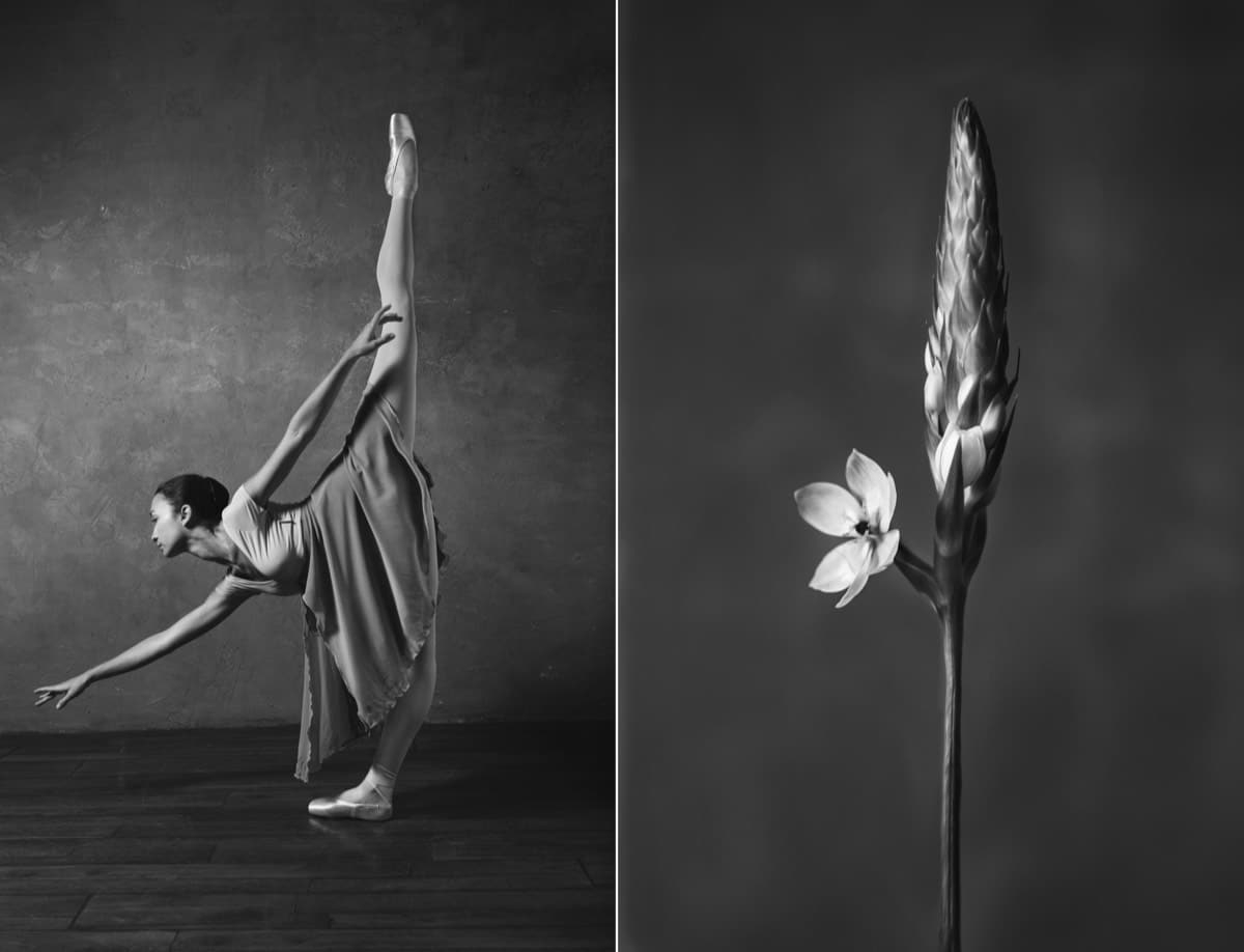 Photographer-Shows-Connection-Between-Ballet-and-Blooming-Flowers-12