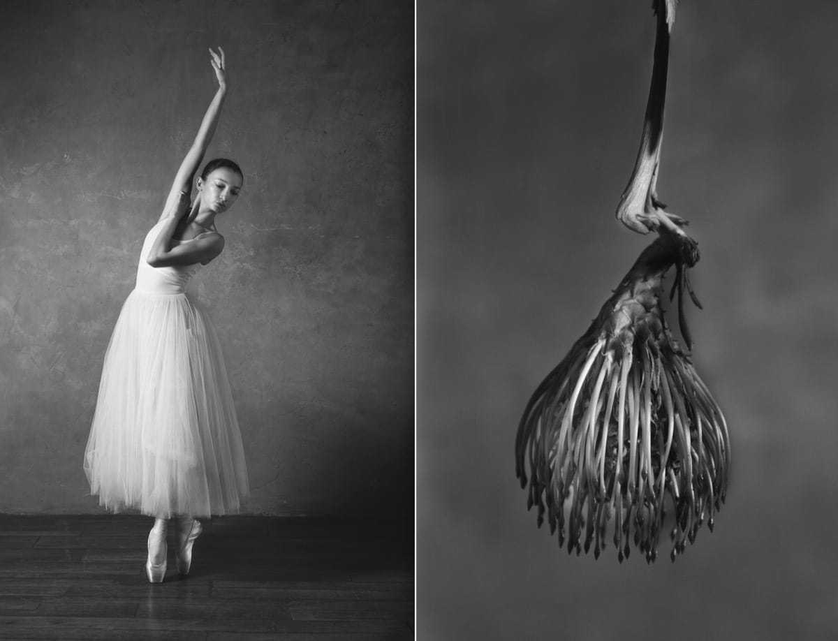 Photographer-Shows-Connection-Between-Ballet-and-Blooming-Flowers-14