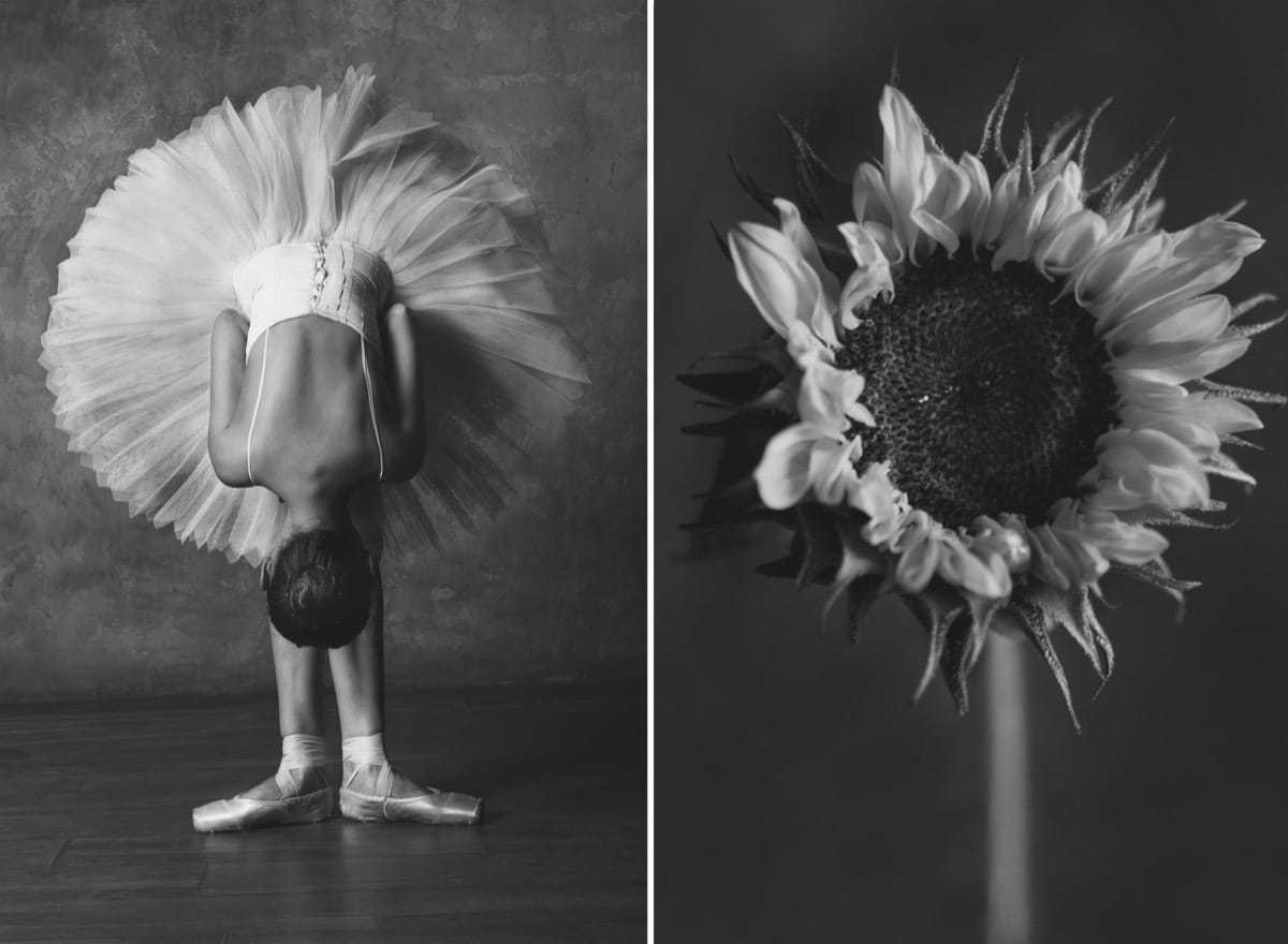 Photographer-Shows-Connection-Between-Ballet-and-Blooming-Flowers-17