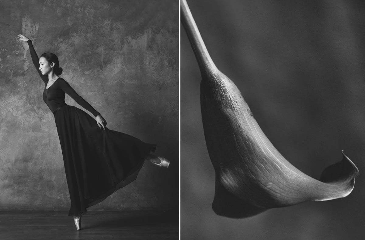 Photographer-Shows-Connection-Between-Ballet-and-Blooming-Flowers-19