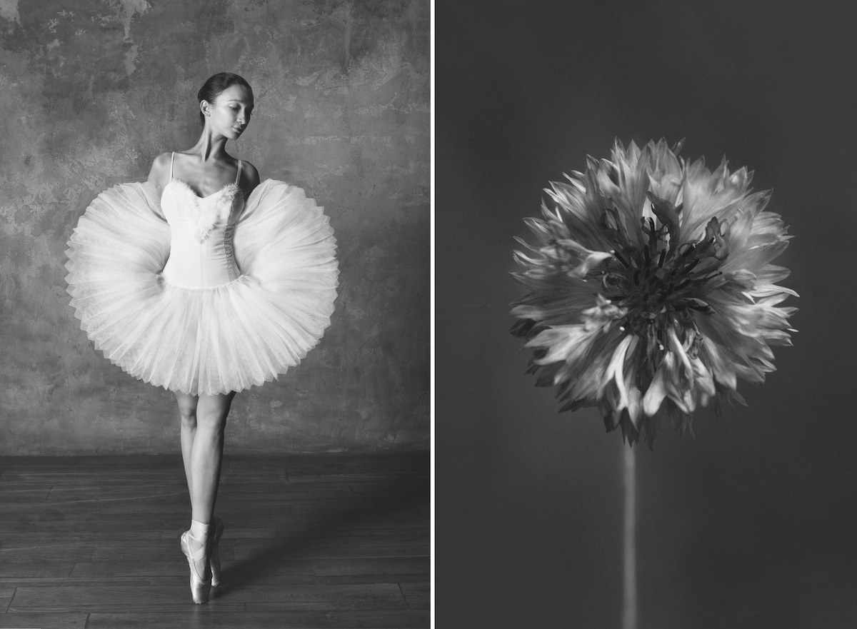 Photographer-Shows-Connection-Between-Ballet-and-Blooming-Flowers-7
