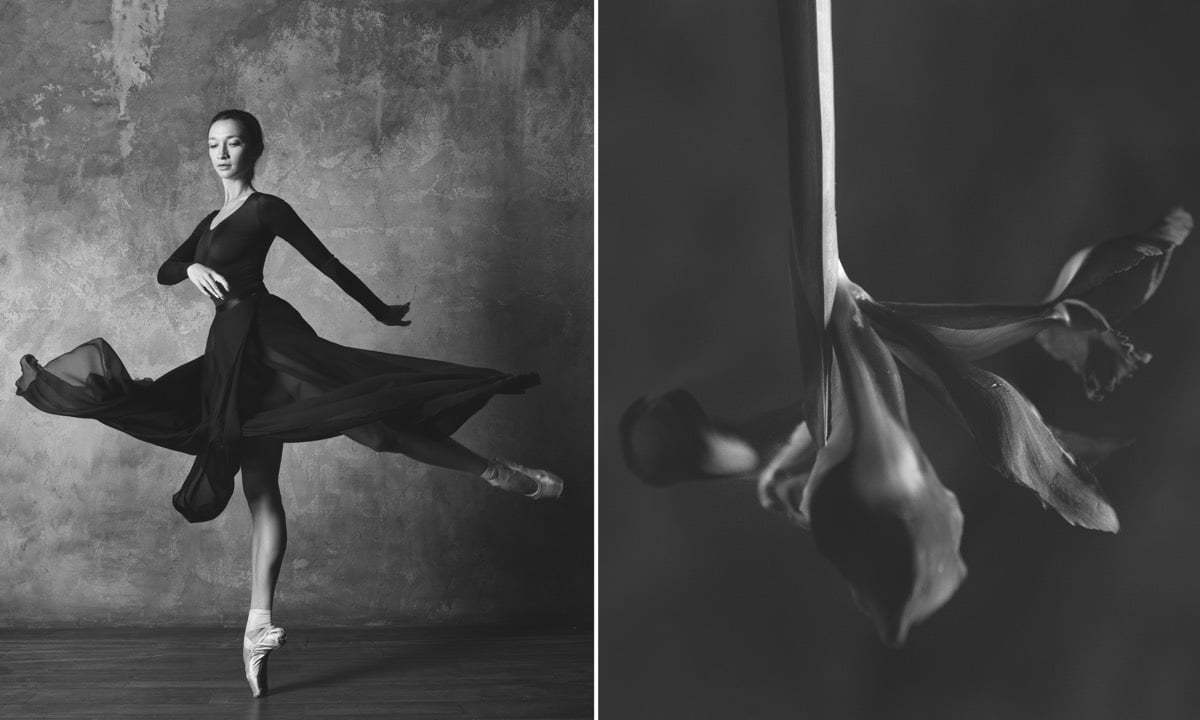 Photographer-Shows-Connection-Between-Ballet-and-Blooming-Flowers-8