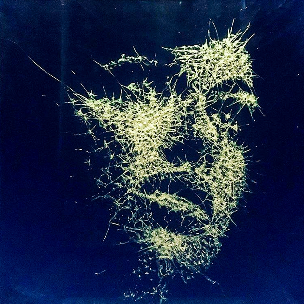 Shattered-Glass-Portraits-by-Simon-Berger-14
